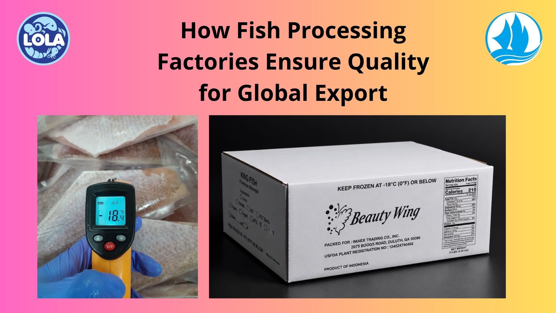   How Fish Processing Factories Ensure Quality for Global Export